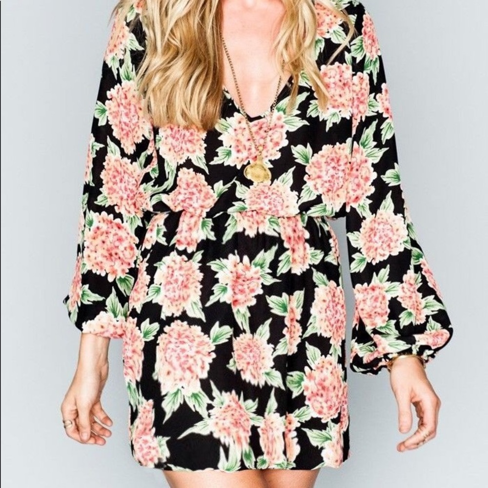 Show Me Your Mumu Rainey Mini Dress